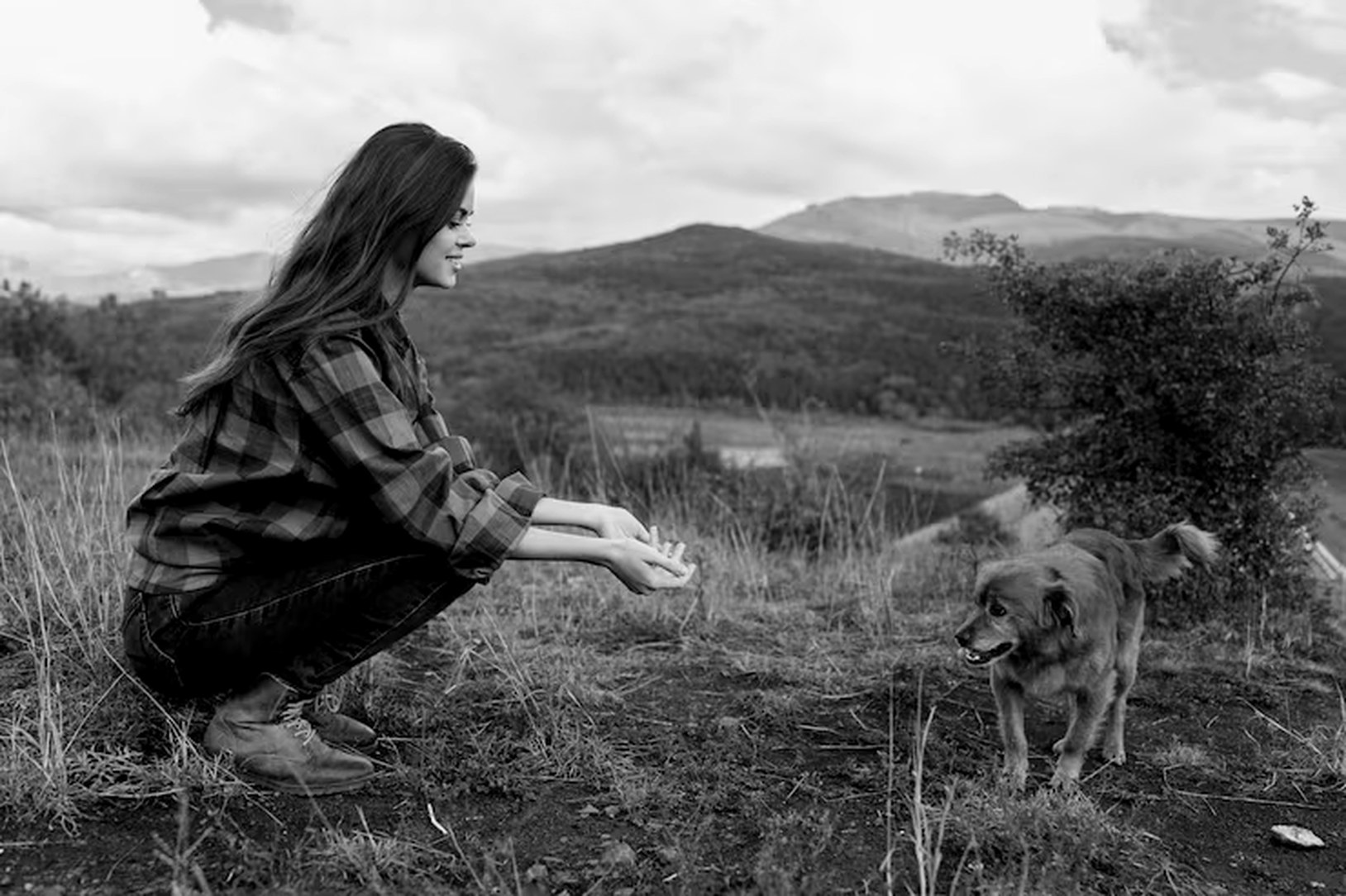 A woman kneeling to feed her dog in an open field, mountains behind